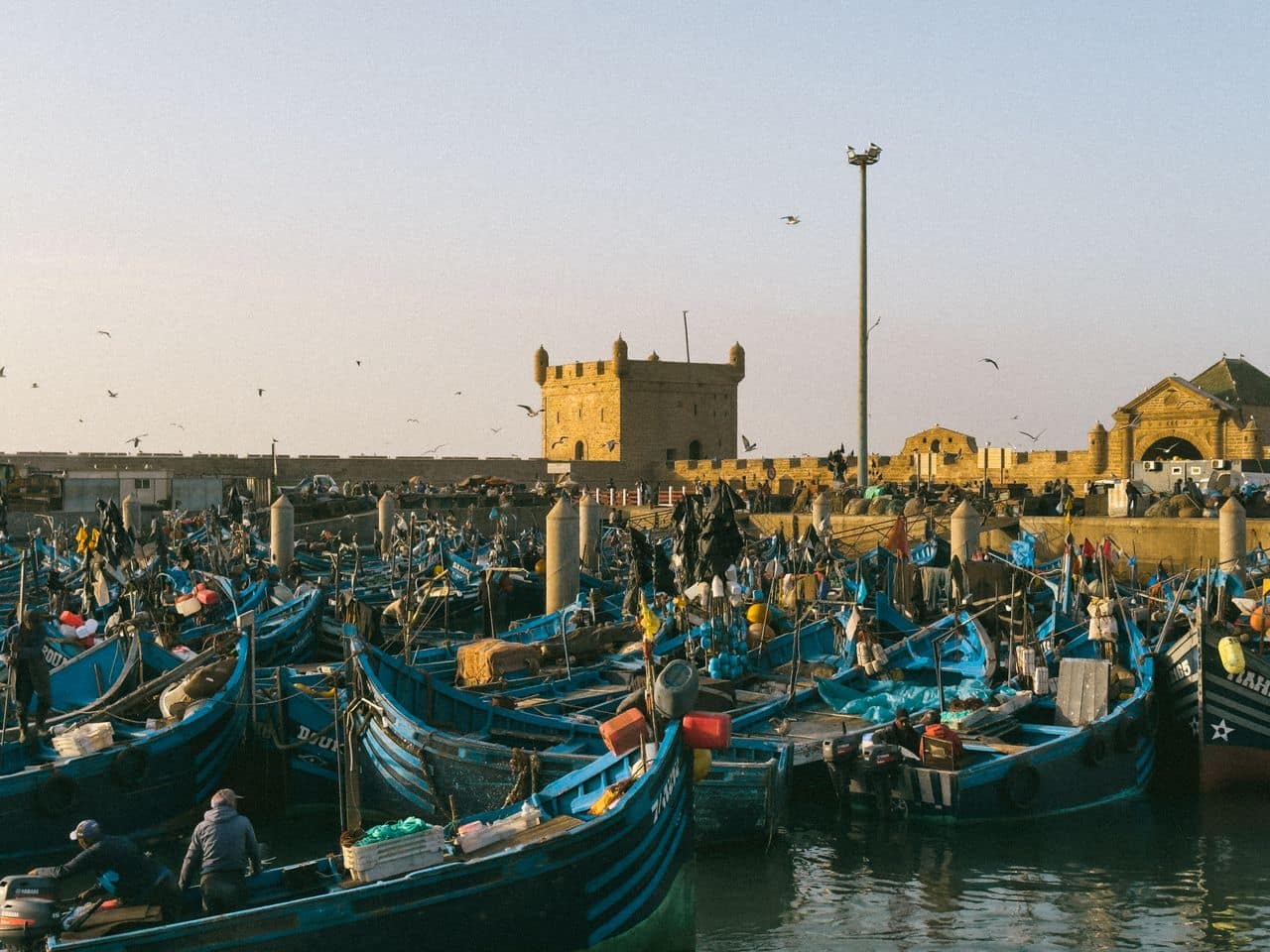 Blue wooden fishing boats crowd Essaouira harbour below the town&rsquo;s stone ramparts