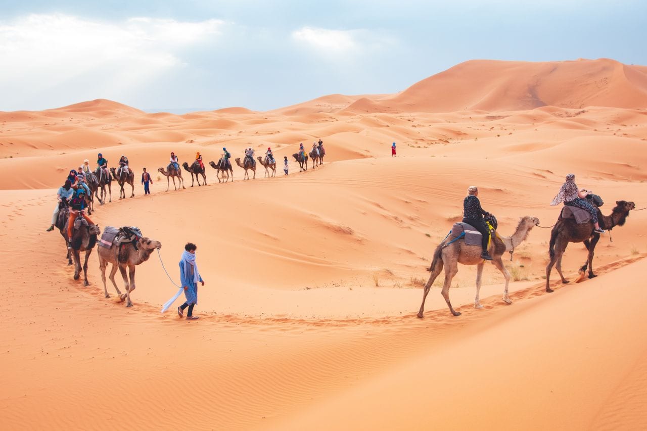 A long camel caravan crosses orange Sahara dunes led by a guide on foot