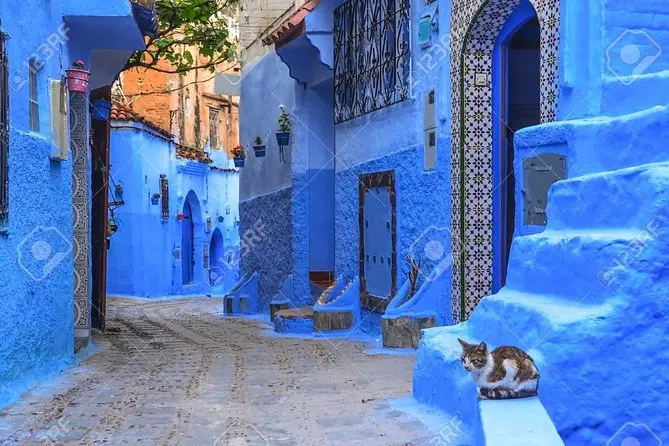 7-day private tour from Casablanca to imperial cities and Sahara desert