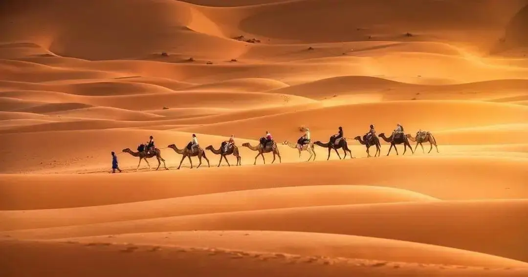 8-day tour from Marrakech via Sahara desert and Chefchaouen blue city — alternative view