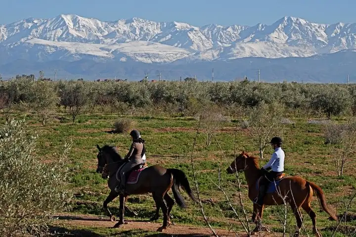 Horseback ride through palmeries near Marrakech at golden hour