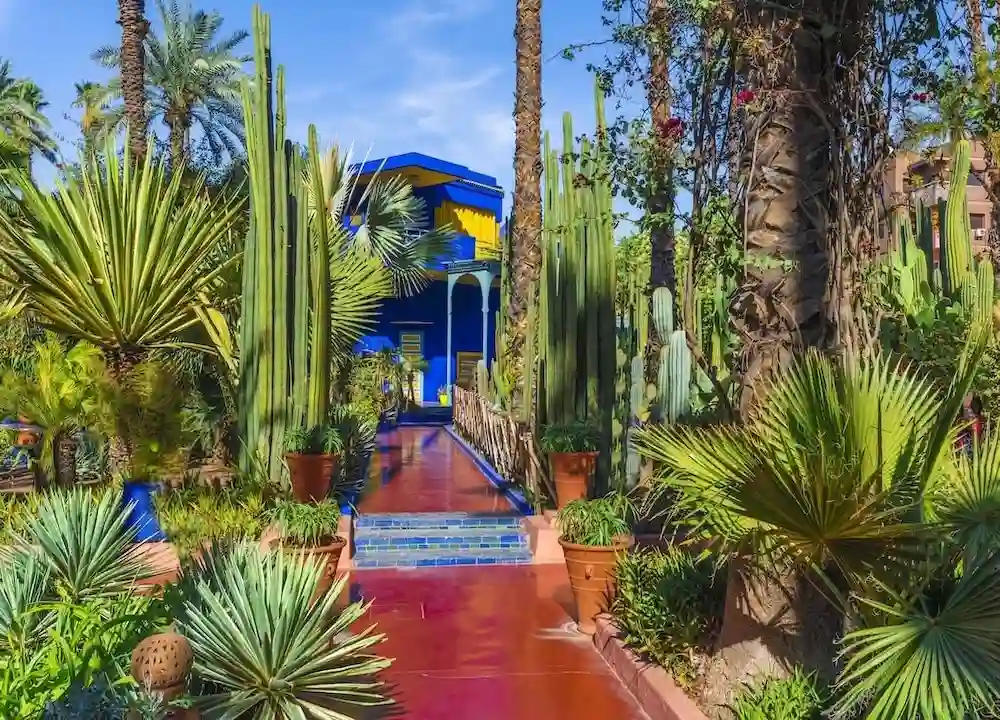 Majorelle Gardens half-day tour in Marrakech with cobalt blue villa