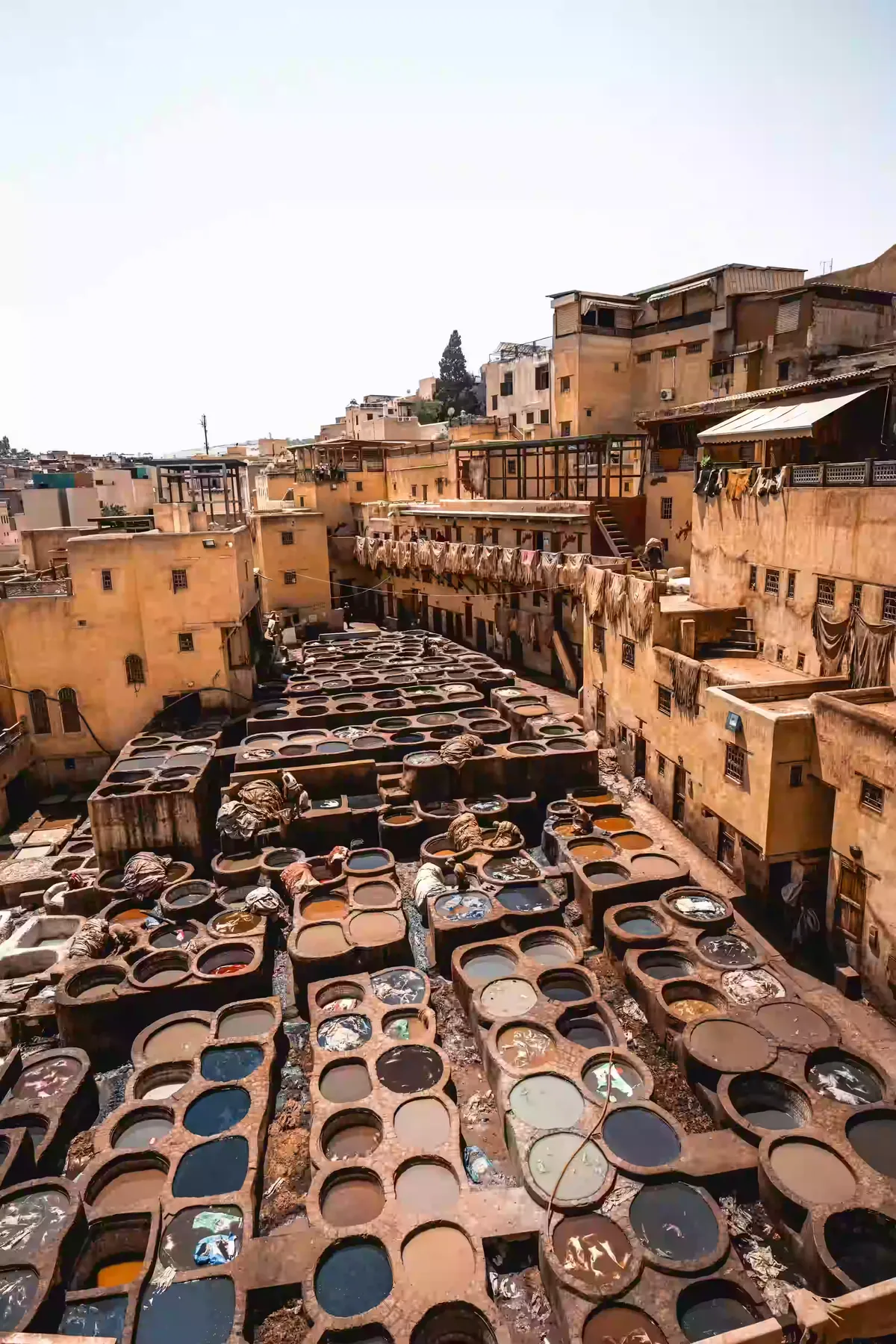 Quiet stone stairway winding through a narrow alley in the Fes medina, Morocco, lit by late afternoon sun