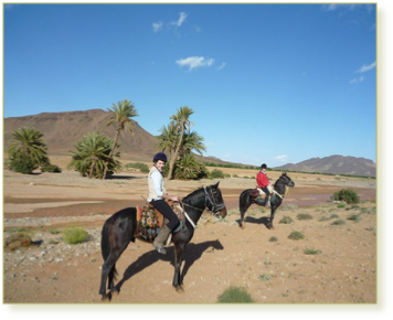 Explore the Majestic Atlas Mountains on a 2-Hour Horse Riding Tour from Marrakech