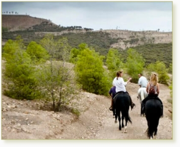 Atlas Mountains on a 2-Hour Horse Riding Tour from Marrakech