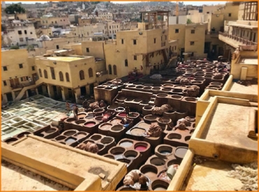 Guided excursion in medina of Fes