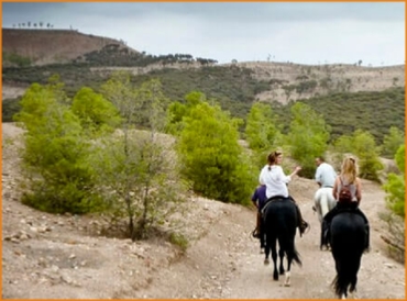 Horse Riding Tour from Marrakech