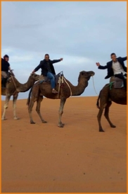 Tours from Marrakech