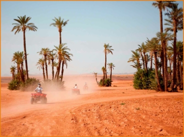 Quad and buggy in Marrakech