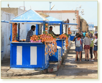 2 days tour to Agadir and Essaouria