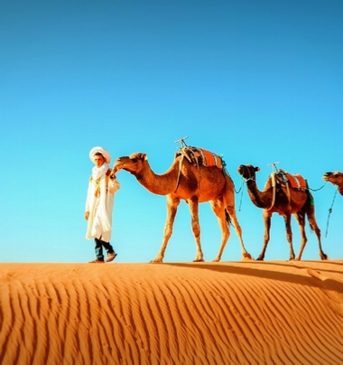 Local Morocco Tours