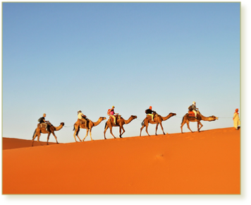 5 days tour Fes to Sahara and Marrakech