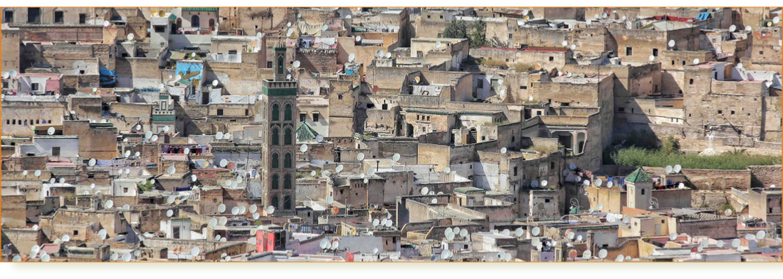 Guided excursion in medina of Fes