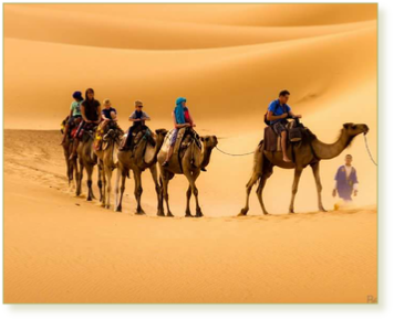 11 day around Morocco tour from Marrakech