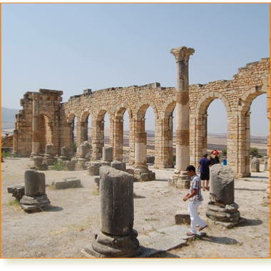 Meknes and Volubilis day trip from Fes