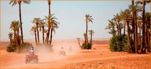 Quad and buggy in Marrakech