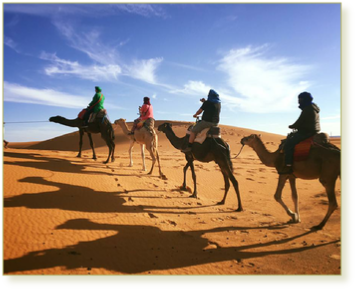 Tour from Ouarzazate