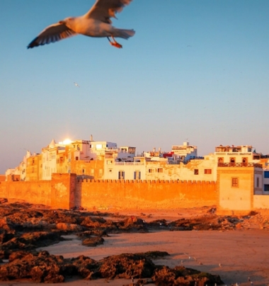 Local Morocco Tours