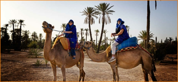 Camel ride in Marrakech palmeries