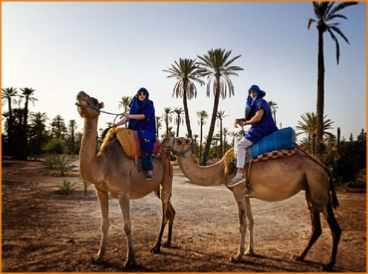 Camel ride in Marrakech palmeries